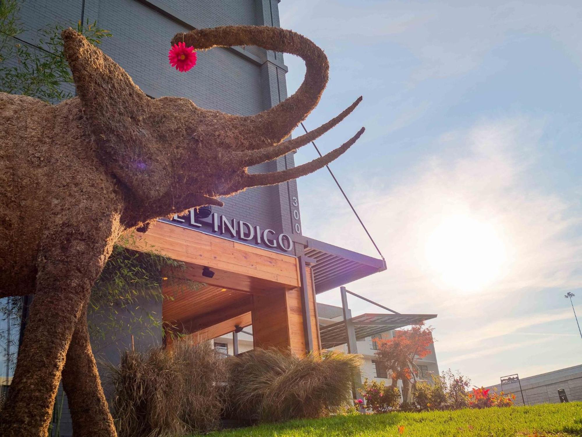 Hotel Indigo Chattanooga - Downtown By Ihg Bagian luar foto